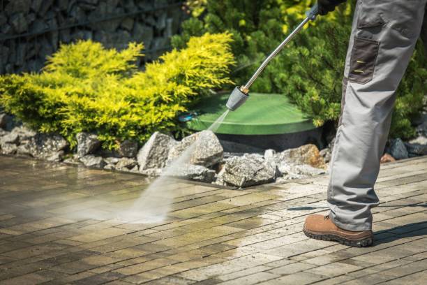 Best Driveway Pressure Washing  in South Lyon, MI