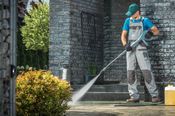 Pre-Holiday Cleaning in South Lyon, MI