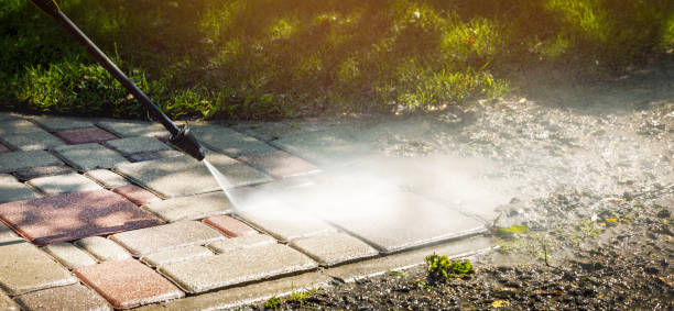 Best Sidewalk and Walkway Cleaning  in South Lyon, MI