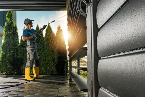 Best Fence Cleaning  in South Lyon, MI